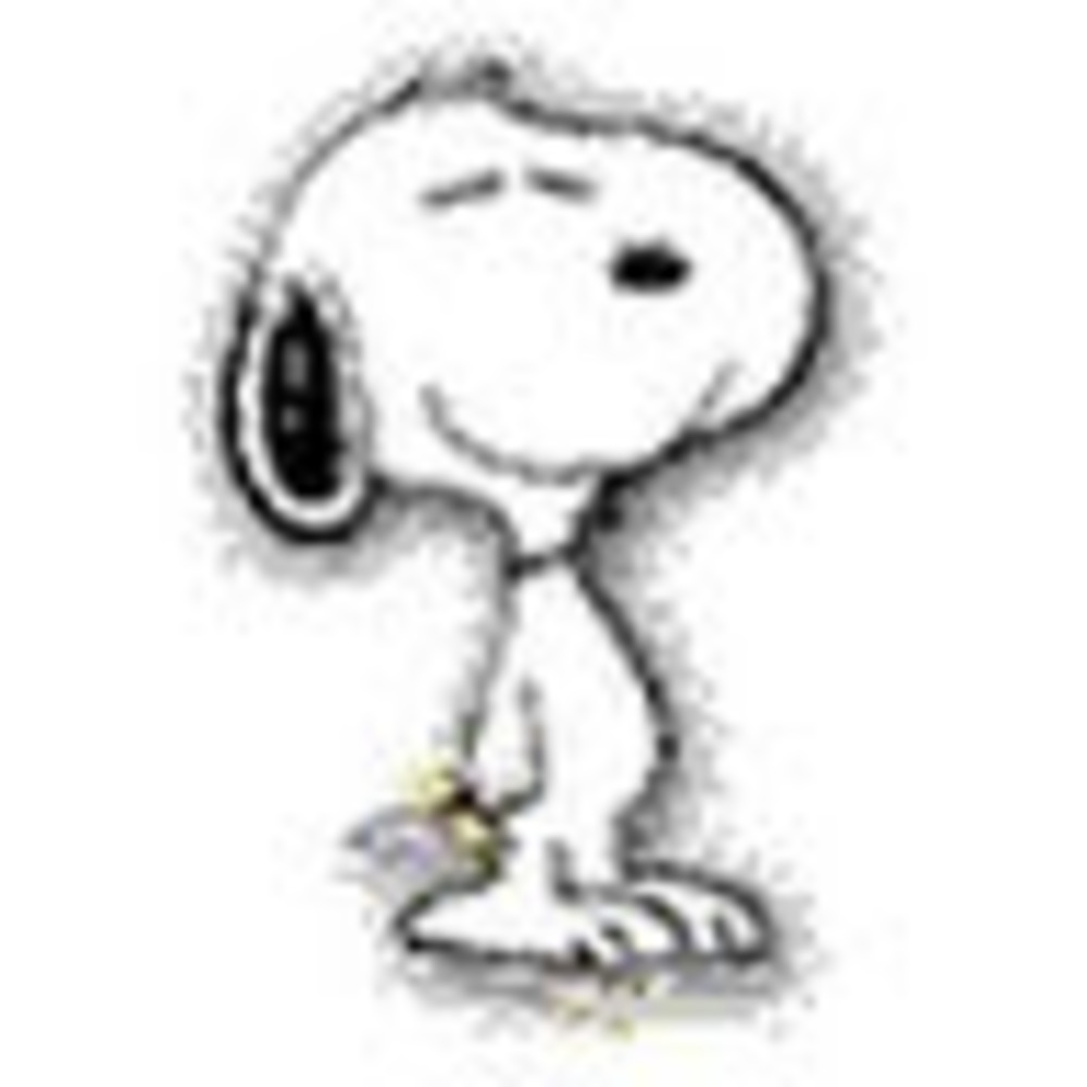 Meet your Posher, Yvonne